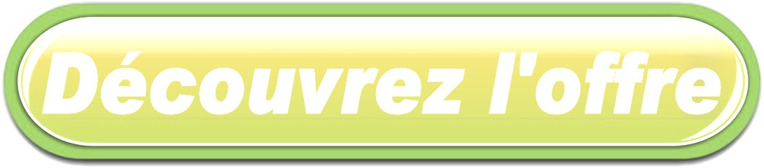 BOUTON LIVRAISON FLEURS A BARVILLE-EN-GATINAIS