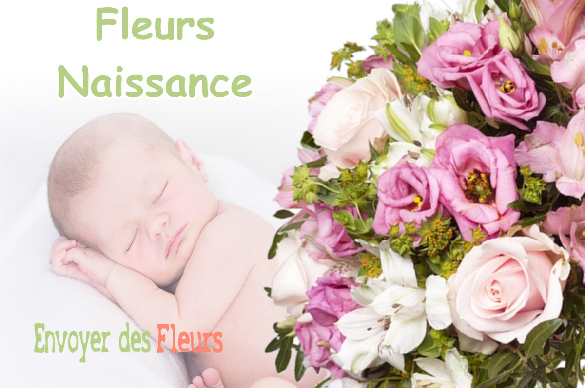 lIVRAISON FLEURS NAISSANCE à BARVILLE-EN-GATINAIS